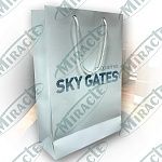 SKYGATES �����